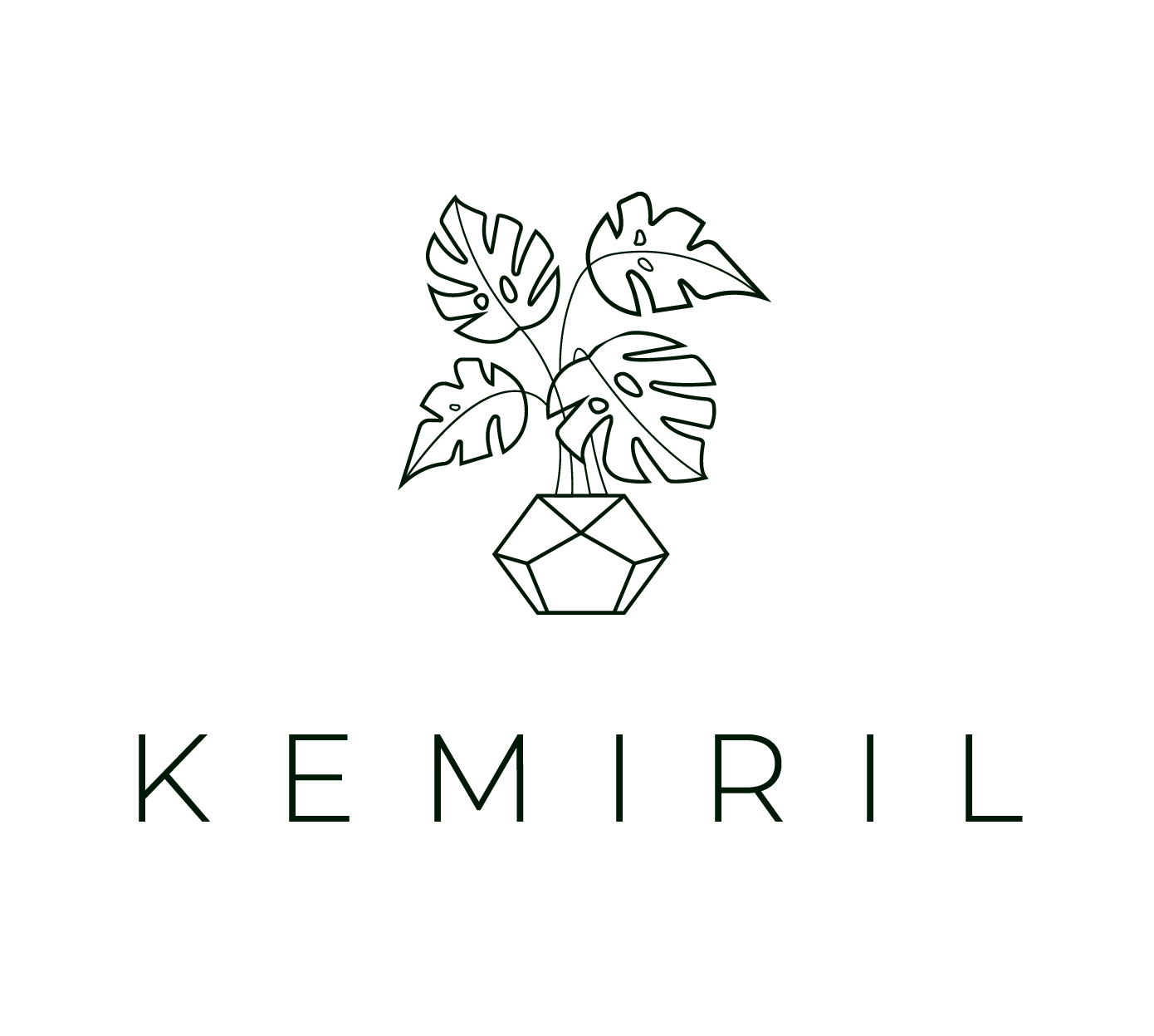 Swiss cheese plant (Cup Pot) – kemiril